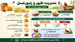 عملکرد معاونت بهبود تولیدات دامی سازمان جهاد کشاورزی کهگیلویه و بویراحمد  به مناسبت هفته جهاد کشاورزی